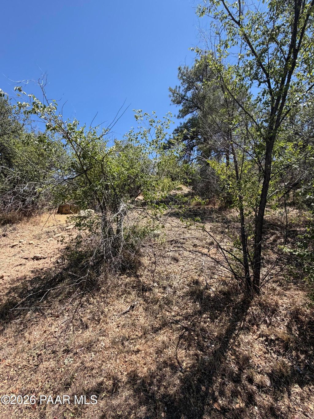 Photo of 301 Madison Avenue, Prescott, AZ 86301 (MLS # 1083317)