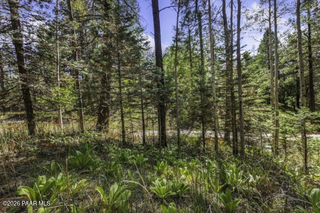 Photo of 00 S Comstock Mine Road, Prescott, AZ 86303 (MLS # 1082338)
