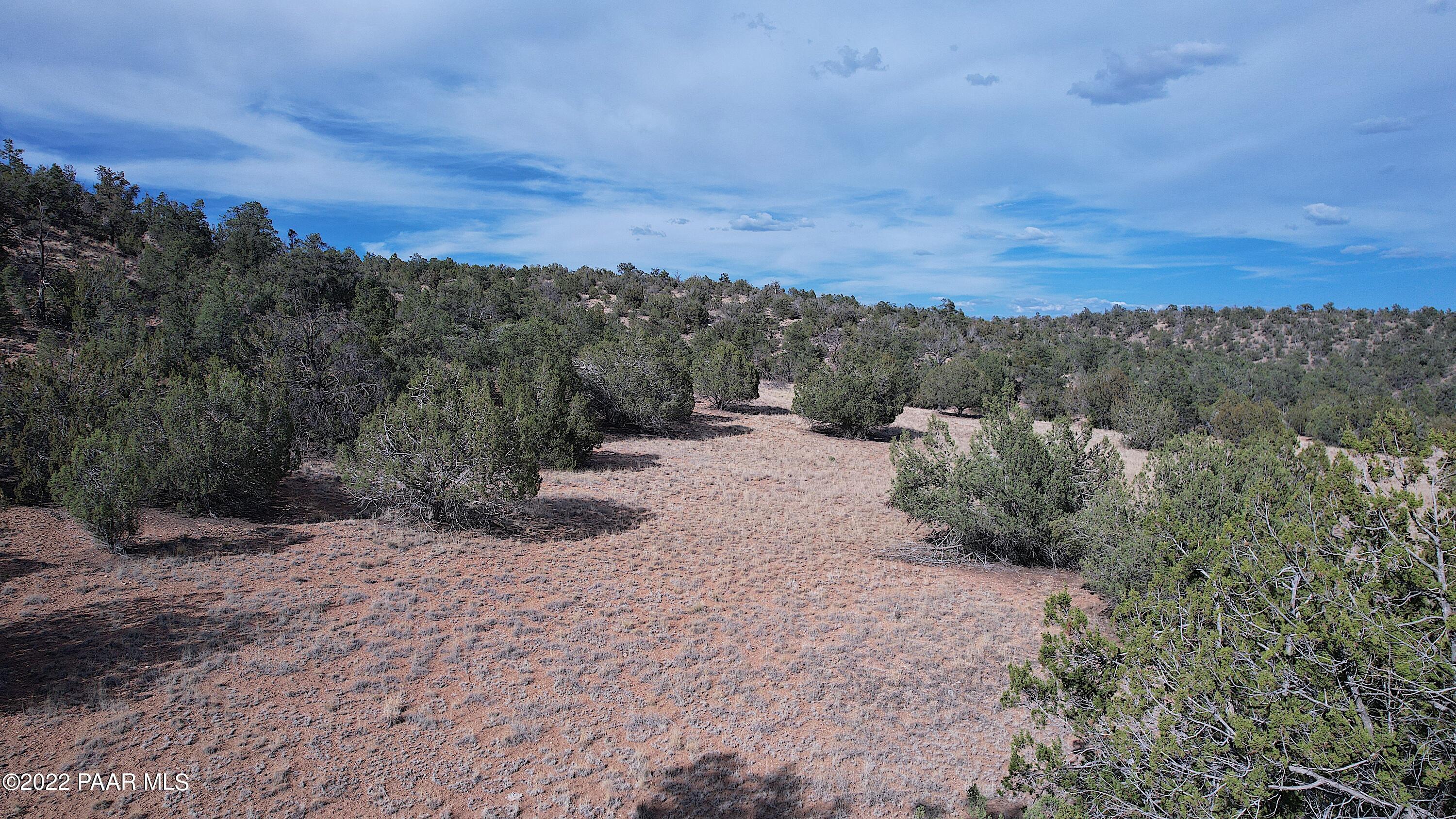 52471 N Camino Gato