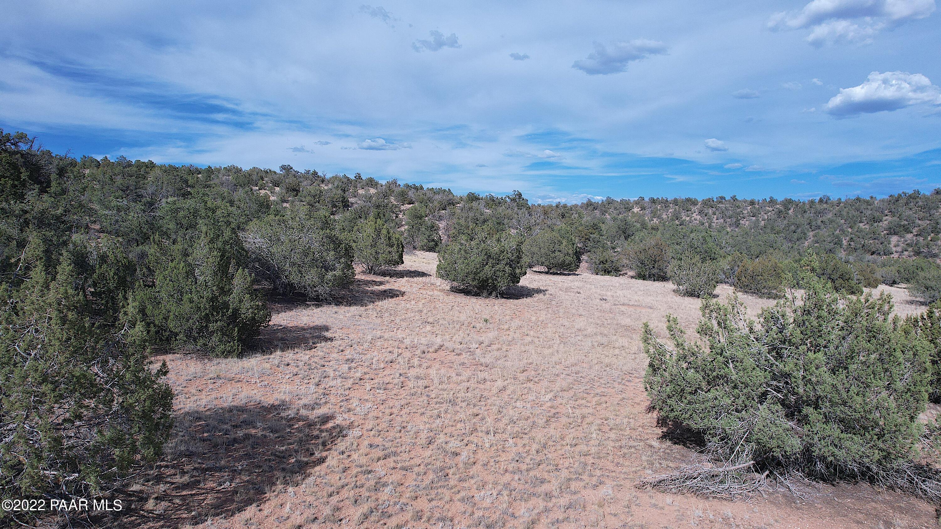 52471 N Camino Gato