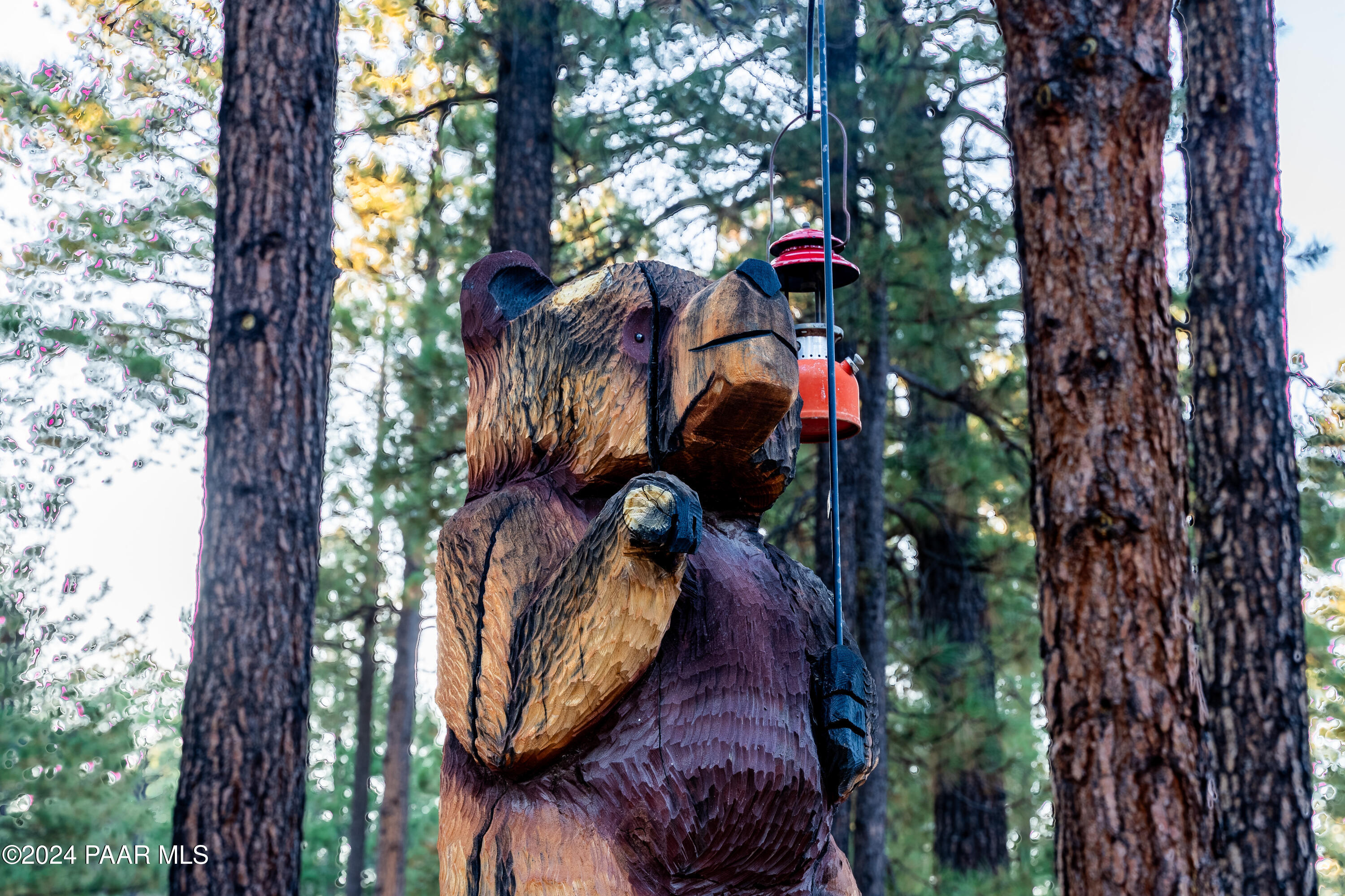 770 Forest Service Rd 461