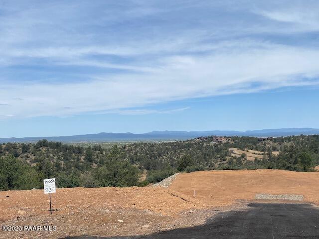 12204 N Petra (Lot 236) Circle