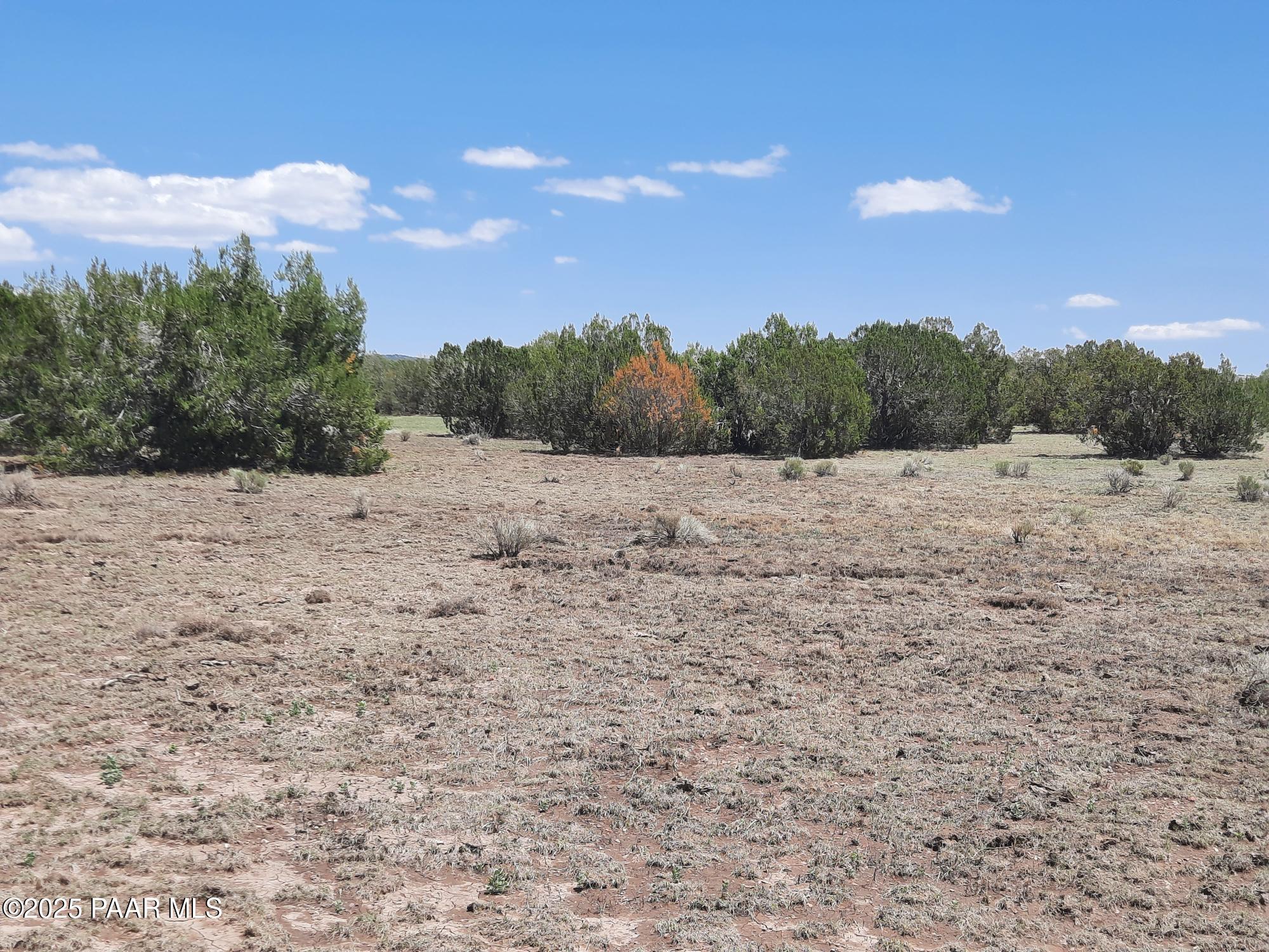 Lot 1389 Anvil Rock Rd
