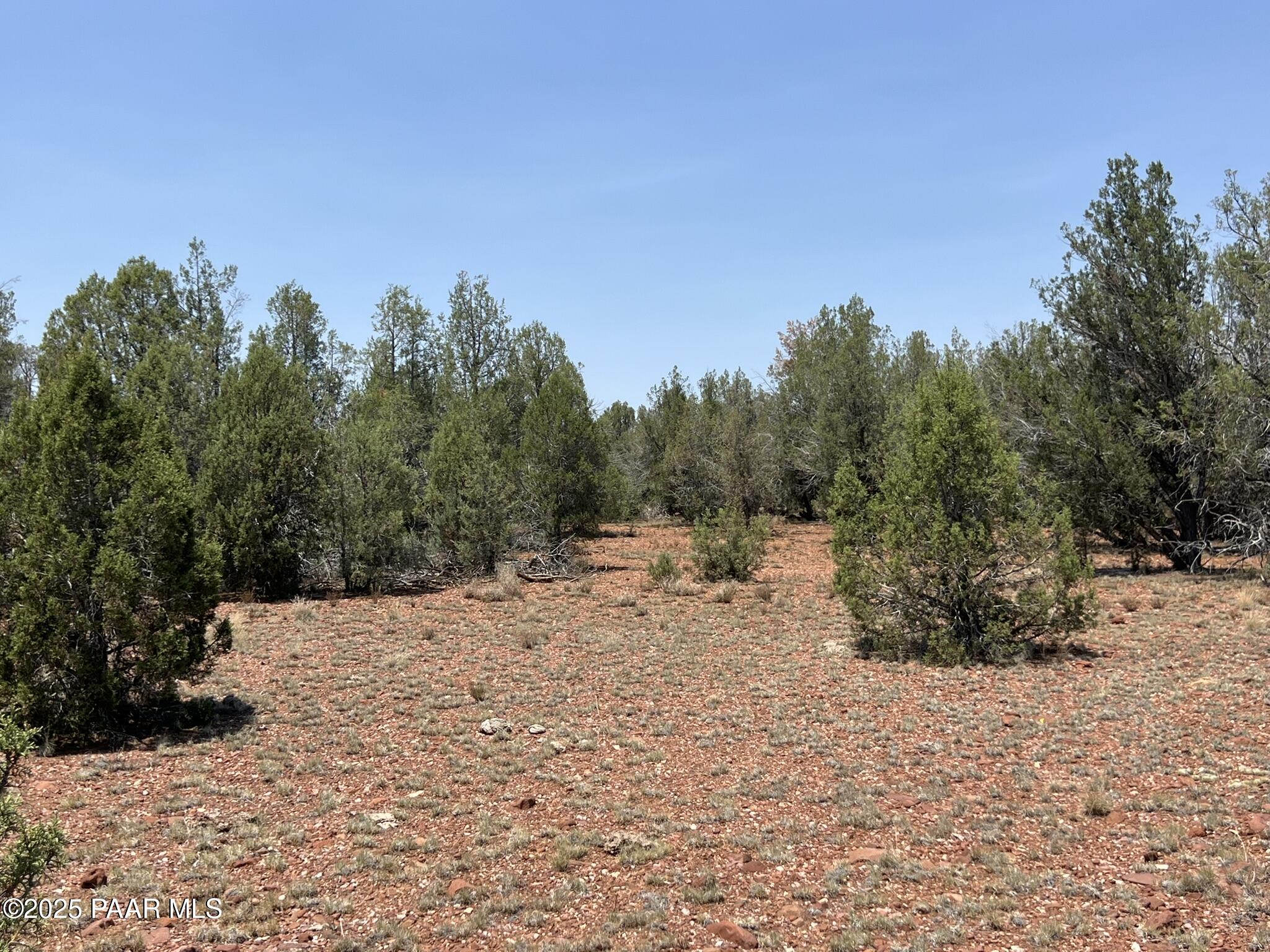 164 Rattlesnake Road