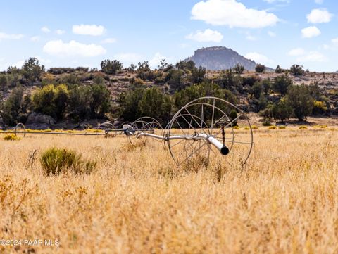 4820 E Perkinsville Road Seligman AZ 86337