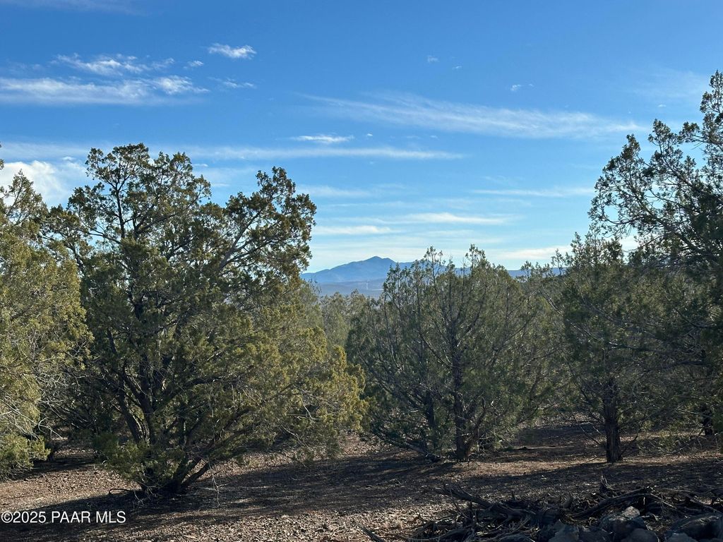 Photo of 2698 W Pearl Lane, Williams, AZ 86046 (MLS # 1078441)