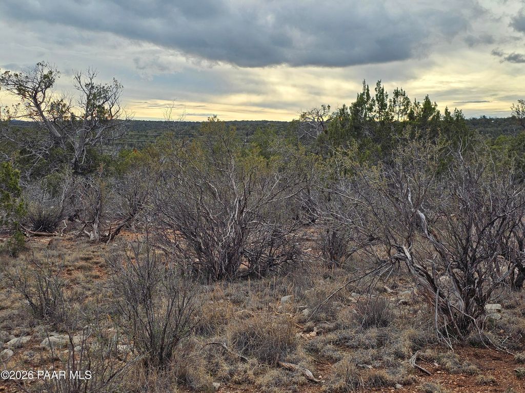 Photo of 32667 W Conejo Road, Seligman, AZ 86337 (MLS # 1078782)