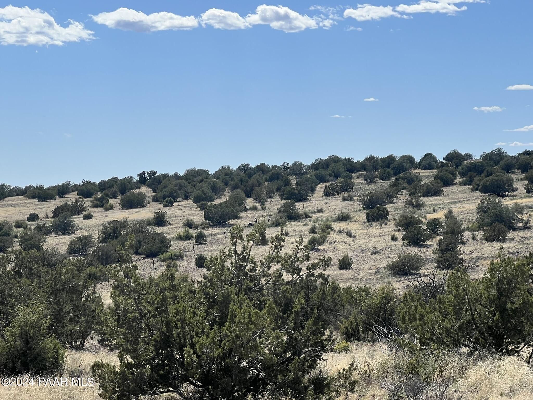 205 Couchman Trail