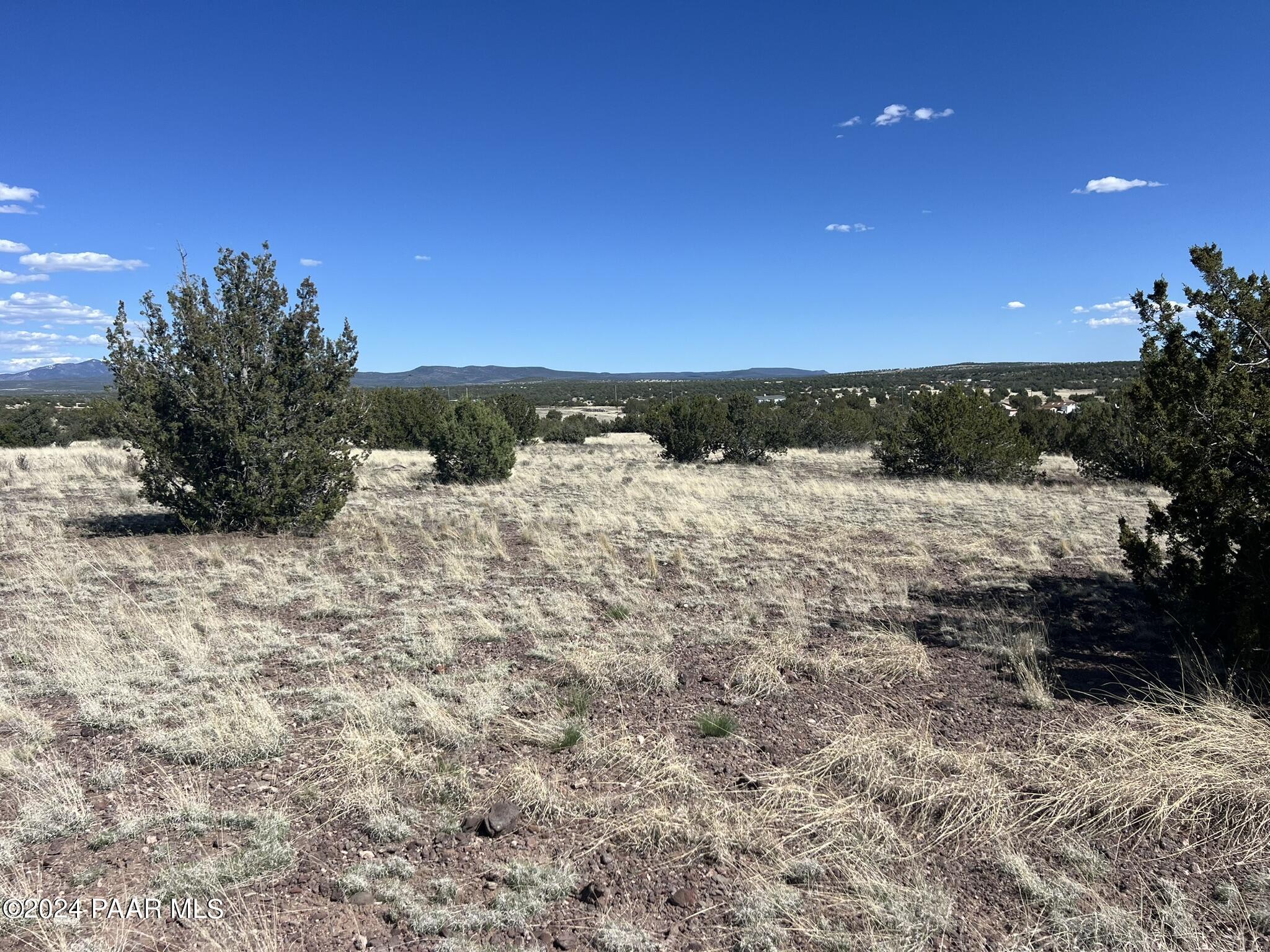 205 Couchman Trail