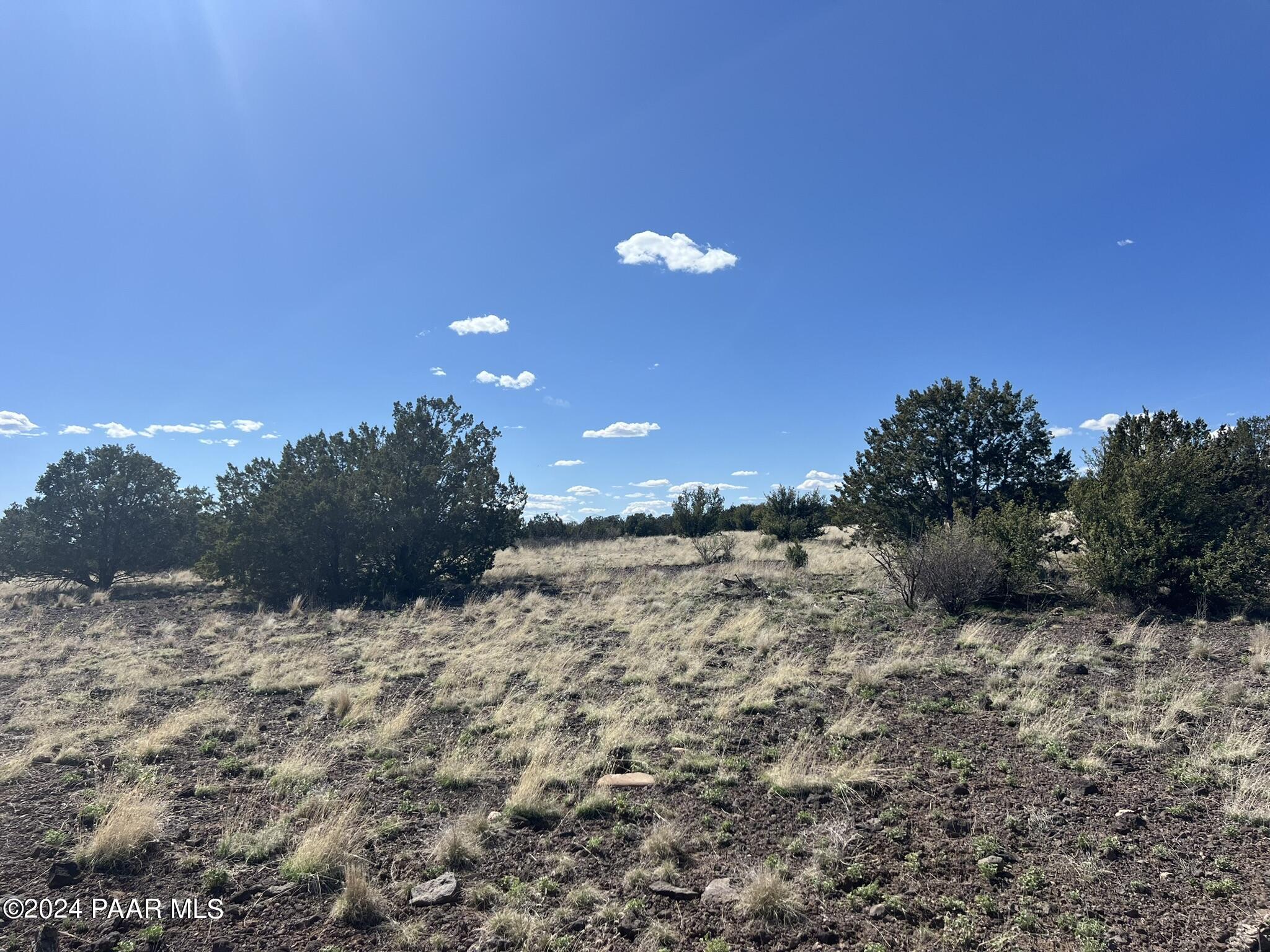 205 Couchman Trail