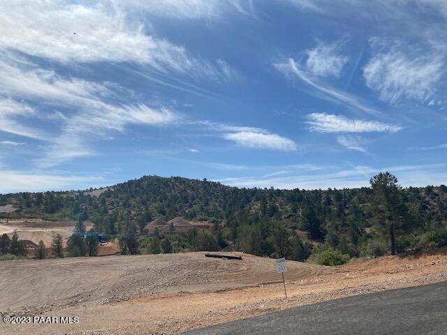 12285 N Petra (Lot 241) Circle