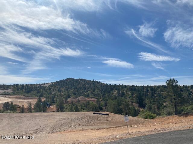 12285 N Petra (Lot 241) Circle