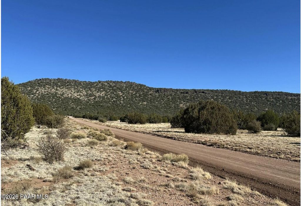 Photo of 932 SW Thirsty Burro Road, Seligman, AZ 86337 (MLS # 1078547)