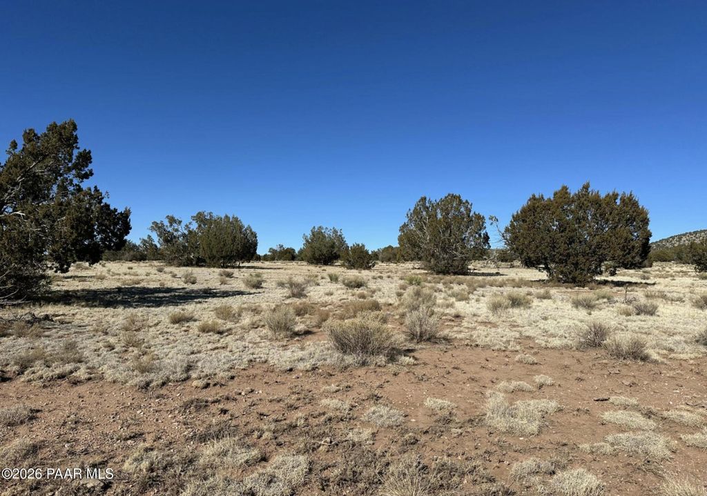 Photo of 932 SW Thirsty Burro Road, Seligman, AZ 86337 (MLS # 1078547)