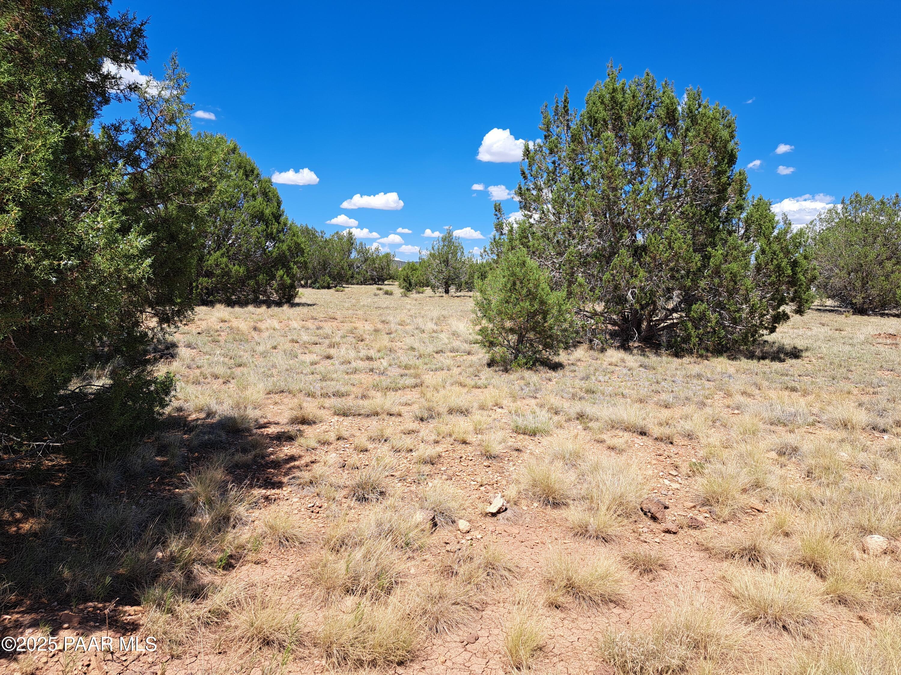 20614014e W Isabella Lane