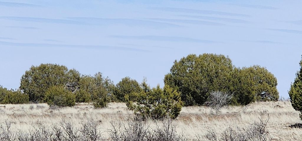 Photo of 644 Cortez Ranch Rd, Ash Fork, AZ 86320 (MLS # 1076860)