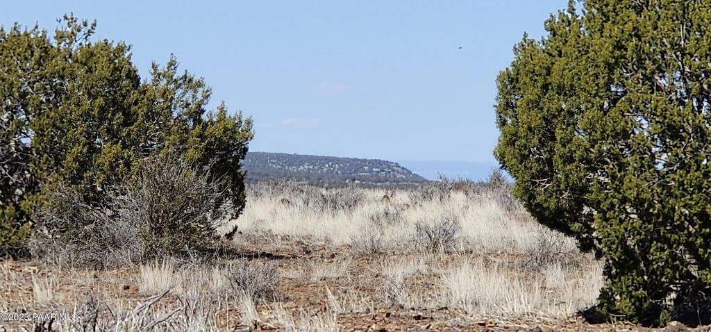 Photo of 644 Cortez Ranch Rd, Ash Fork, AZ 86320 (MLS # 1076860)