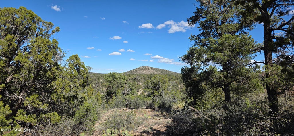 Photo of 363364 Big View, Ash Fork, AZ 86320 (MLS # 1085338)