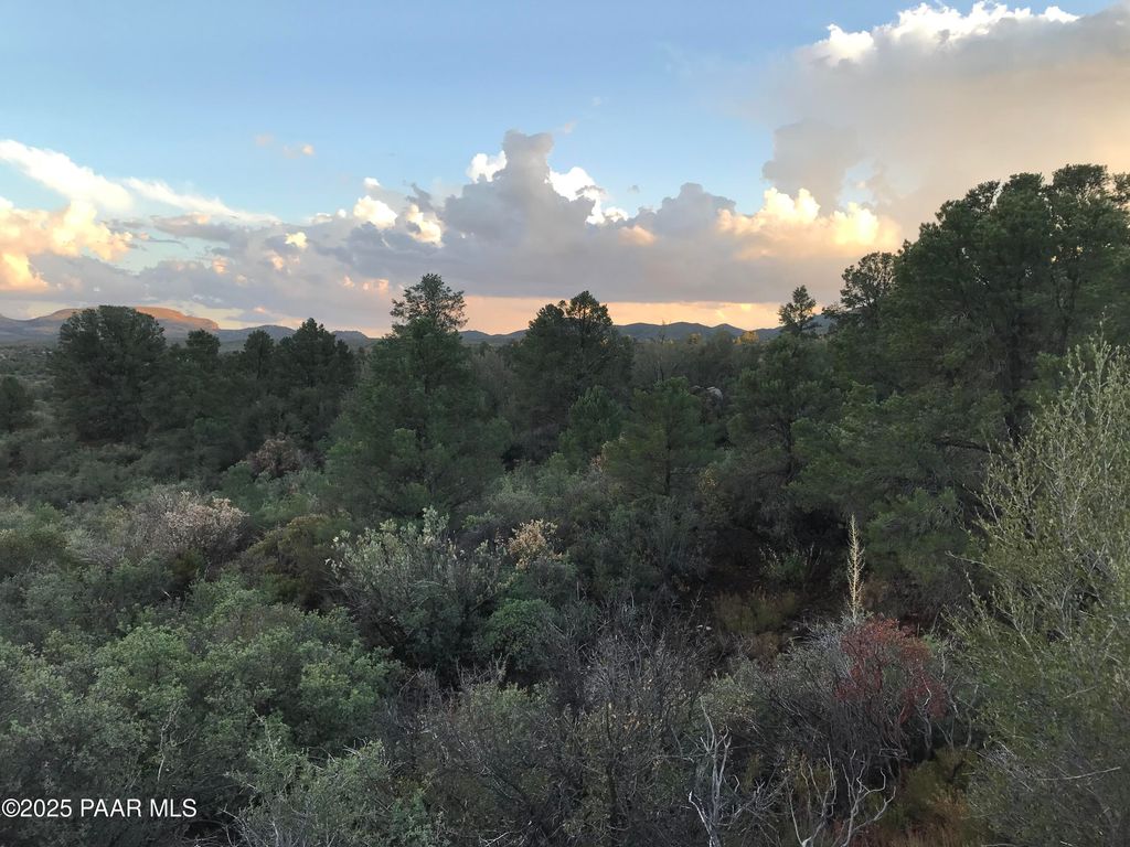 Photo of 00000 W Buckhorn - W Drive, Peeples Valley, AZ 86332 (MLS # 1076718)