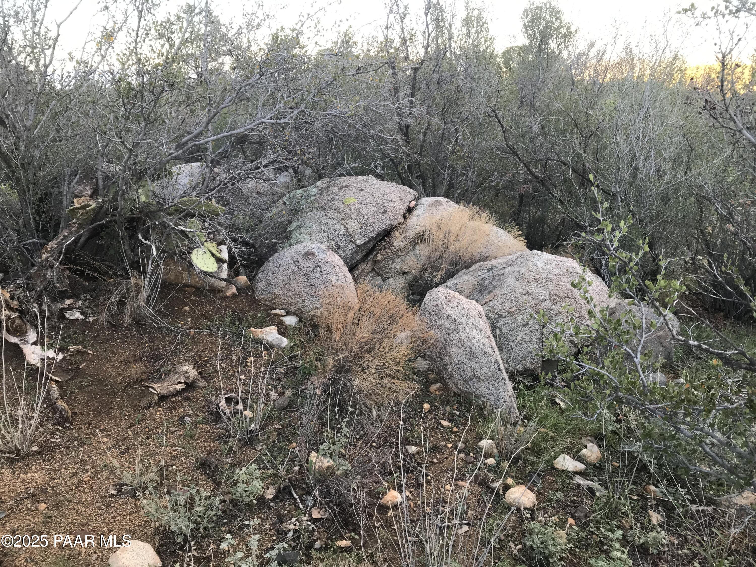 00000 W Buckhorn - W Drive