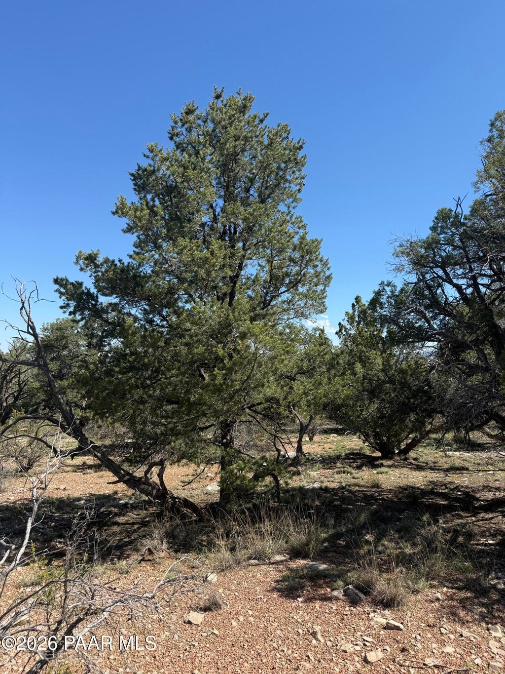 Photo of 32506 W Shadow Mountain Circle, Seligman, AZ 86337 (MLS # 1084174)
