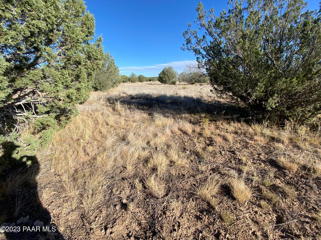 Photo of 3160 W Mesa Drive, Ash Fork, AZ 86046 (MLS # 1079564)