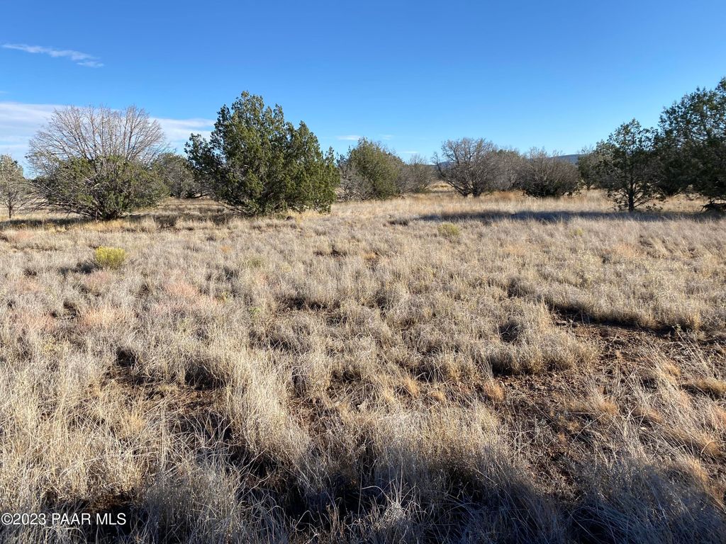 Photo of 3160 W Mesa Drive, Ash Fork, AZ 86046 (MLS # 1079564)