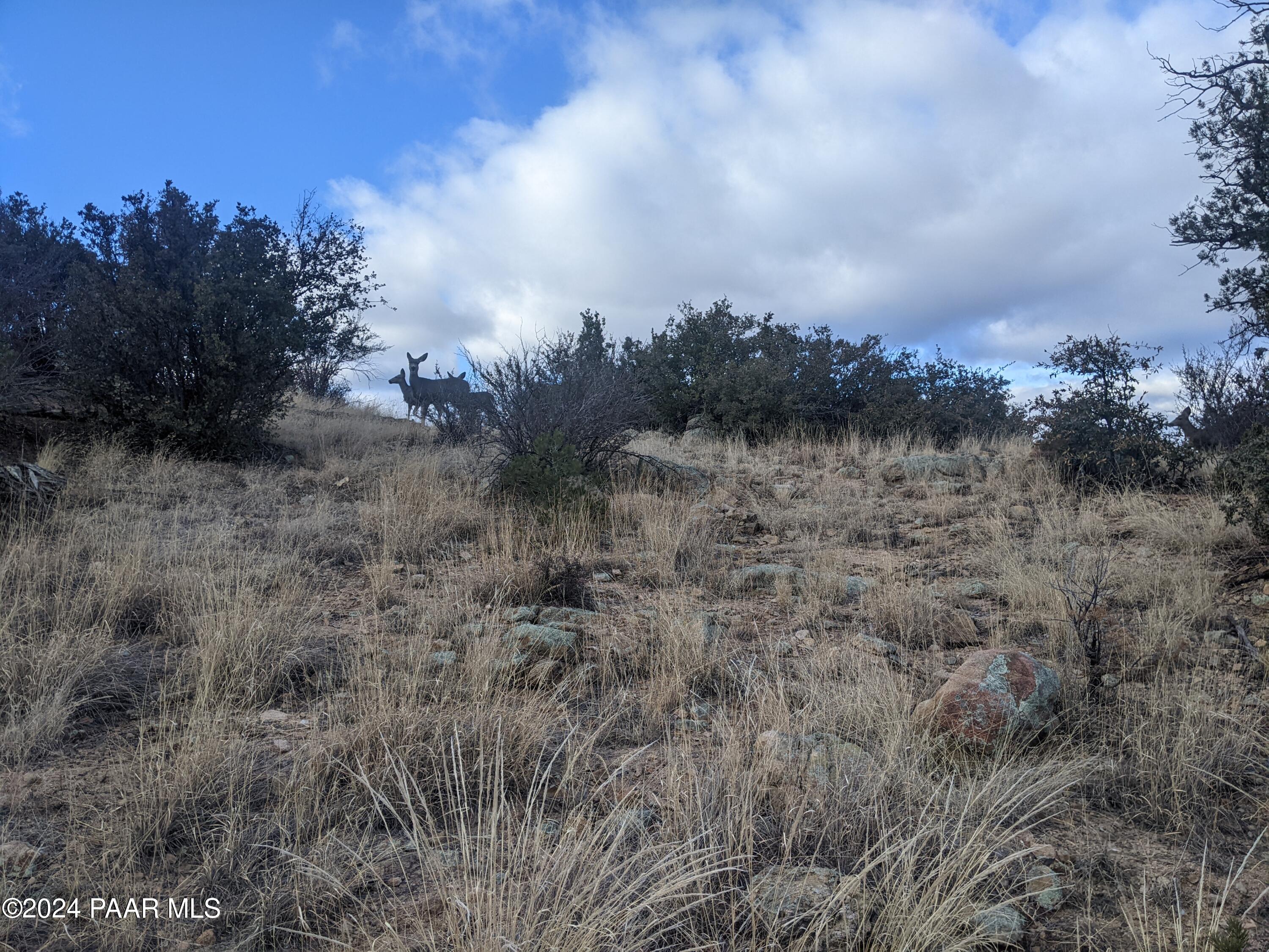 1466 Sierry Springs Drive