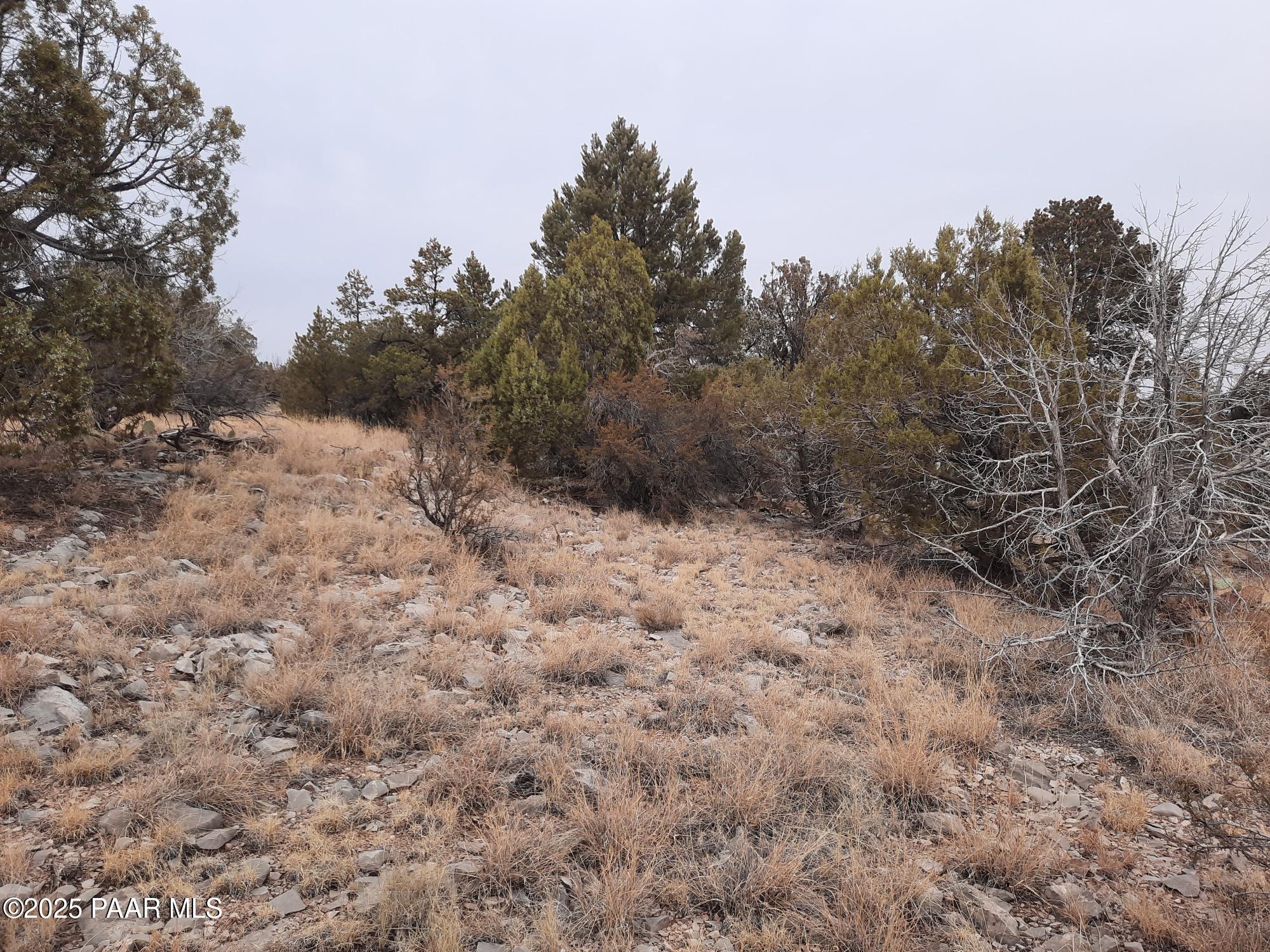 Lot 1401 N Lightning Ridge Rd