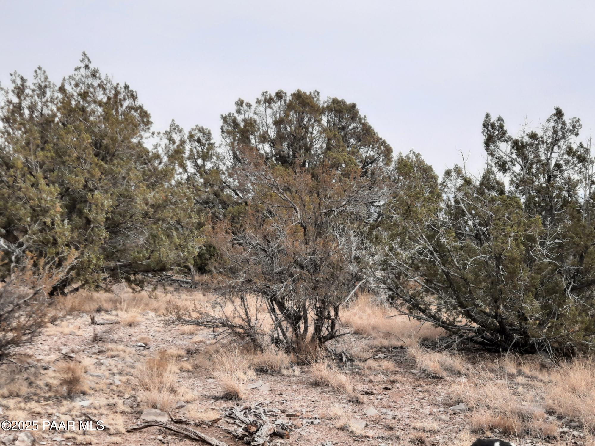 Lot 1401 N Lightning Ridge Rd
