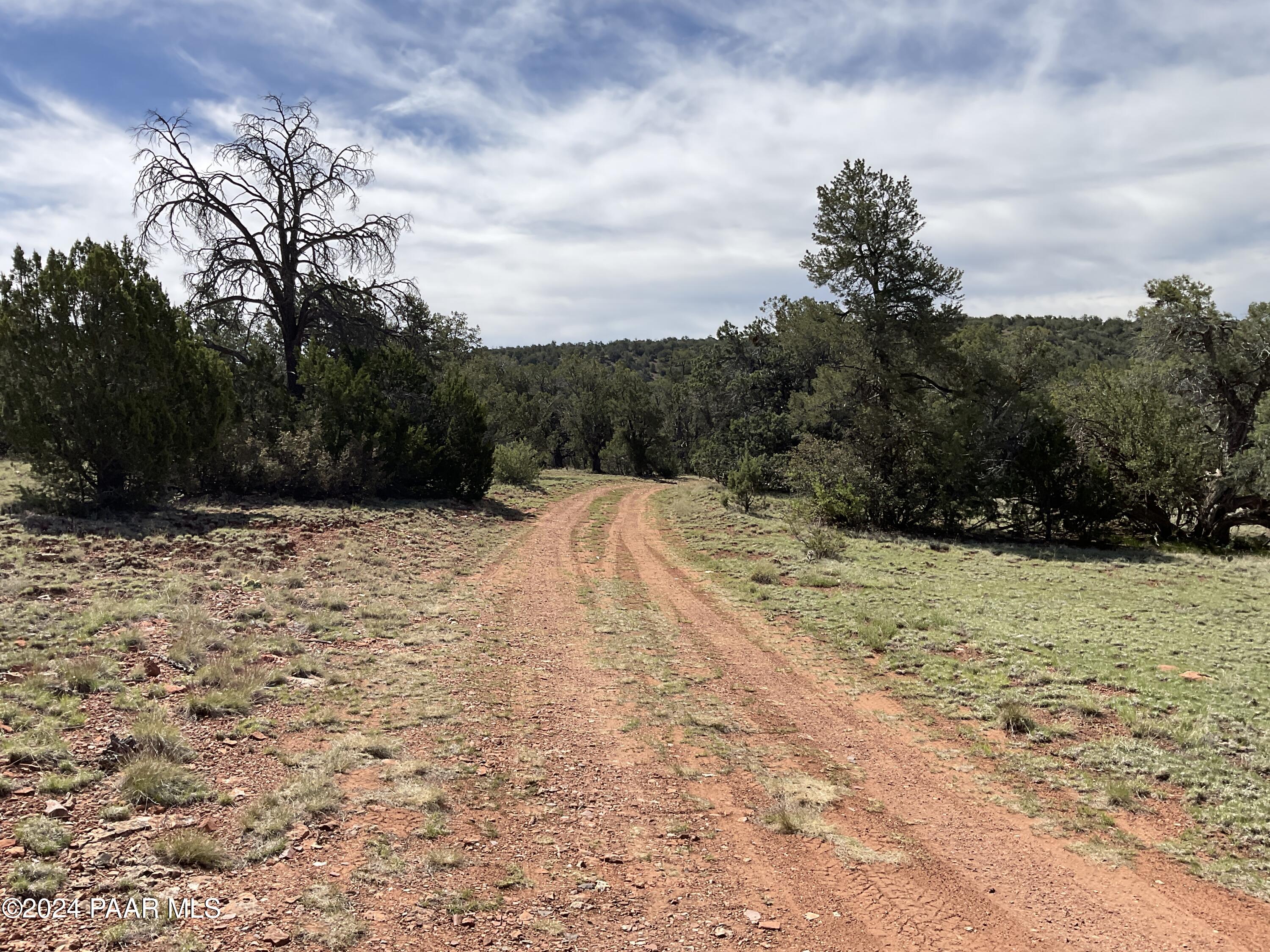 Lot 162 Forest Acres