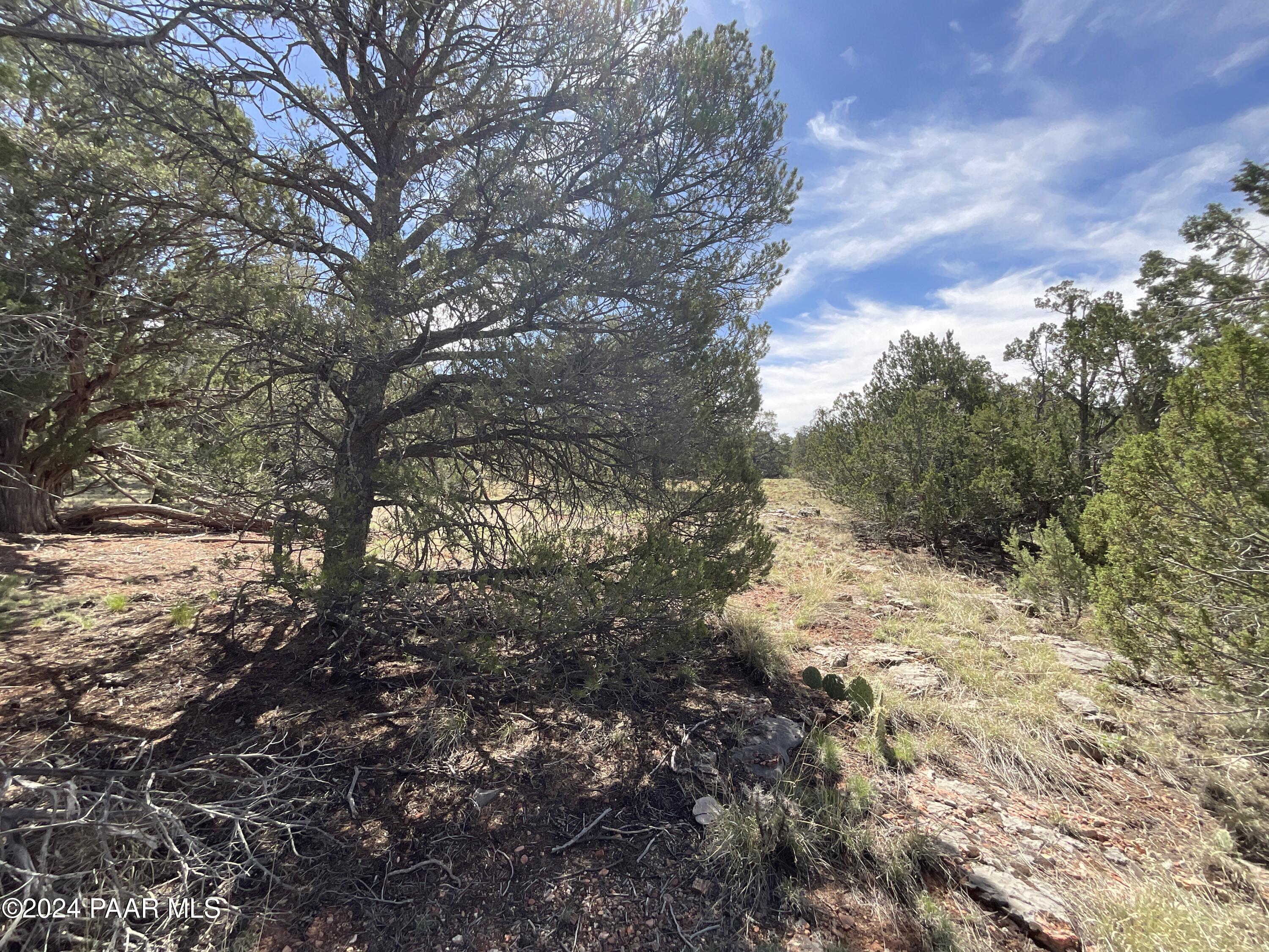 Lot 162 Forest Acres