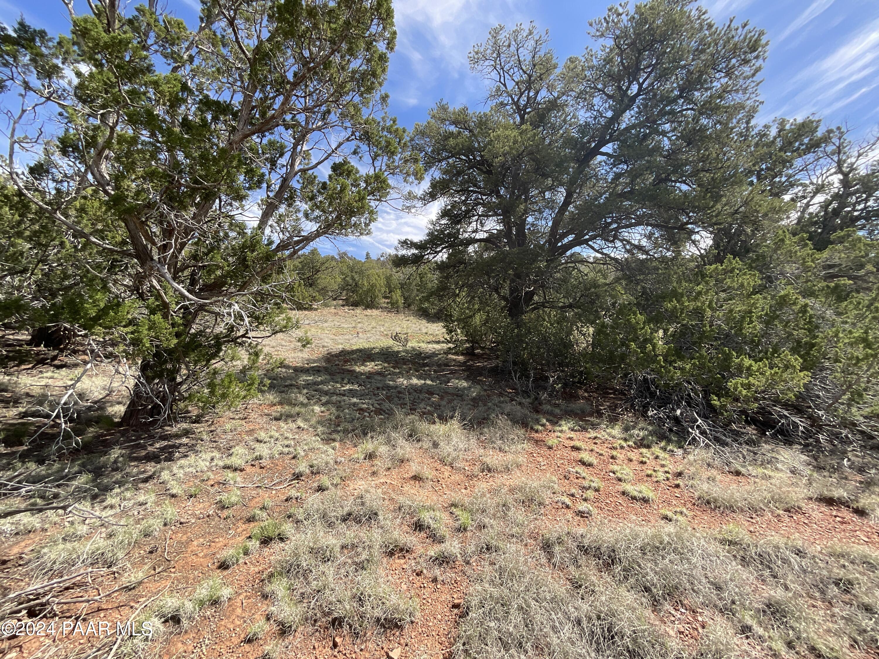 Lot 162 Forest Acres