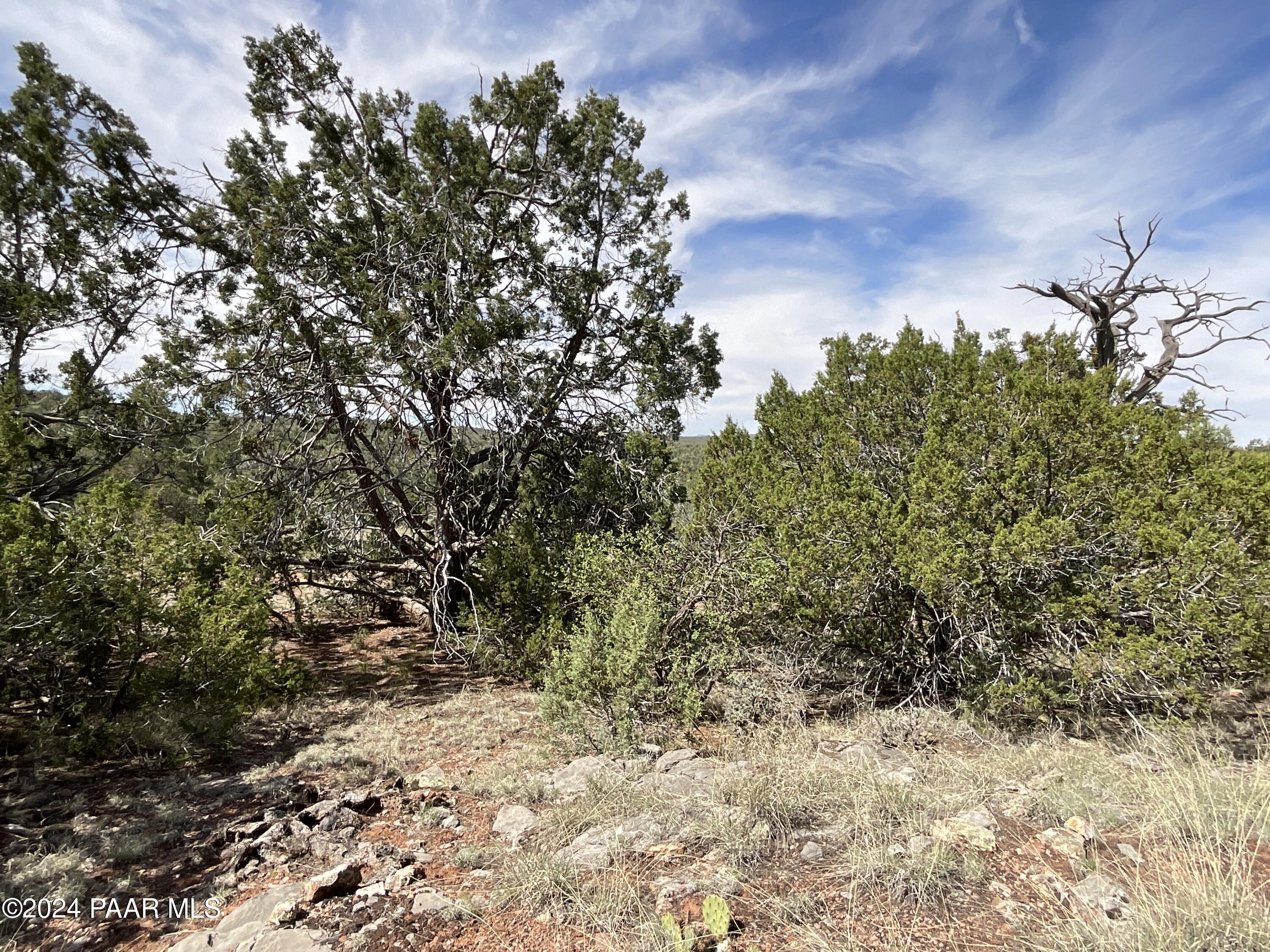 Lot 162 Forest Acres