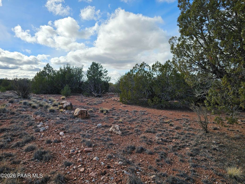 Photo of 4055 W Buena Tierra, Seligman, AZ 86337 (MLS # 1078774)