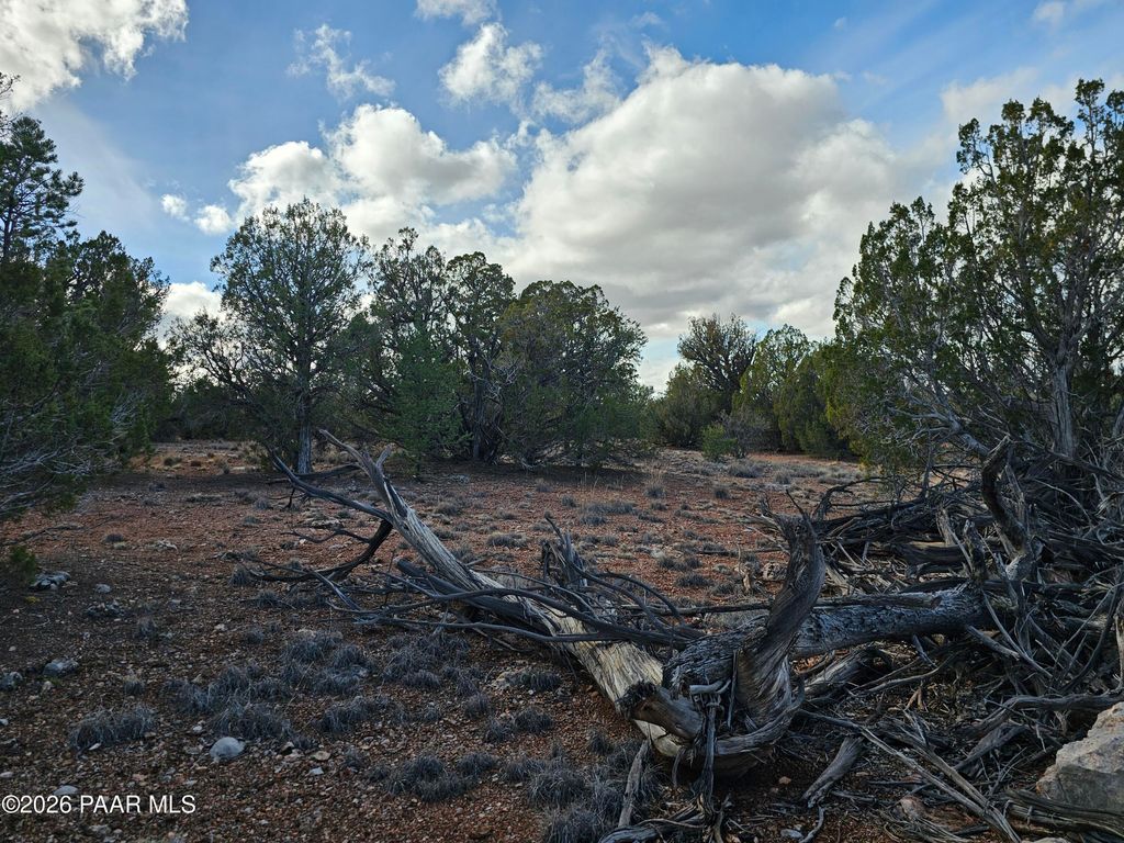 Photo of 4055 W Buena Tierra, Seligman, AZ 86337 (MLS # 1078774)