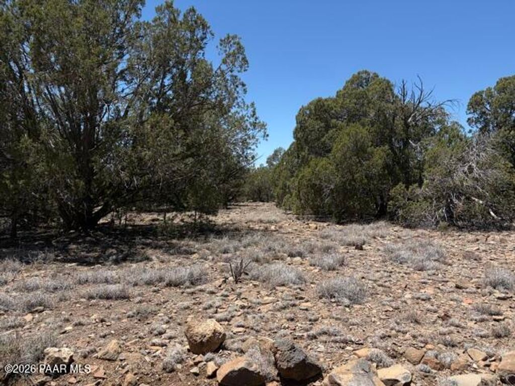 Photo of 356 Sierra Verde Ranch, Seligman, AZ 86337 (MLS # 1083239)
