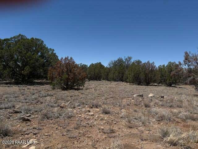 Photo of 356 Sierra Verde Ranch, Seligman, AZ 86337 (MLS # 1083239)