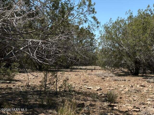 Photo of 356 Sierra Verde Ranch, Seligman, AZ 86337 (MLS # 1083239)