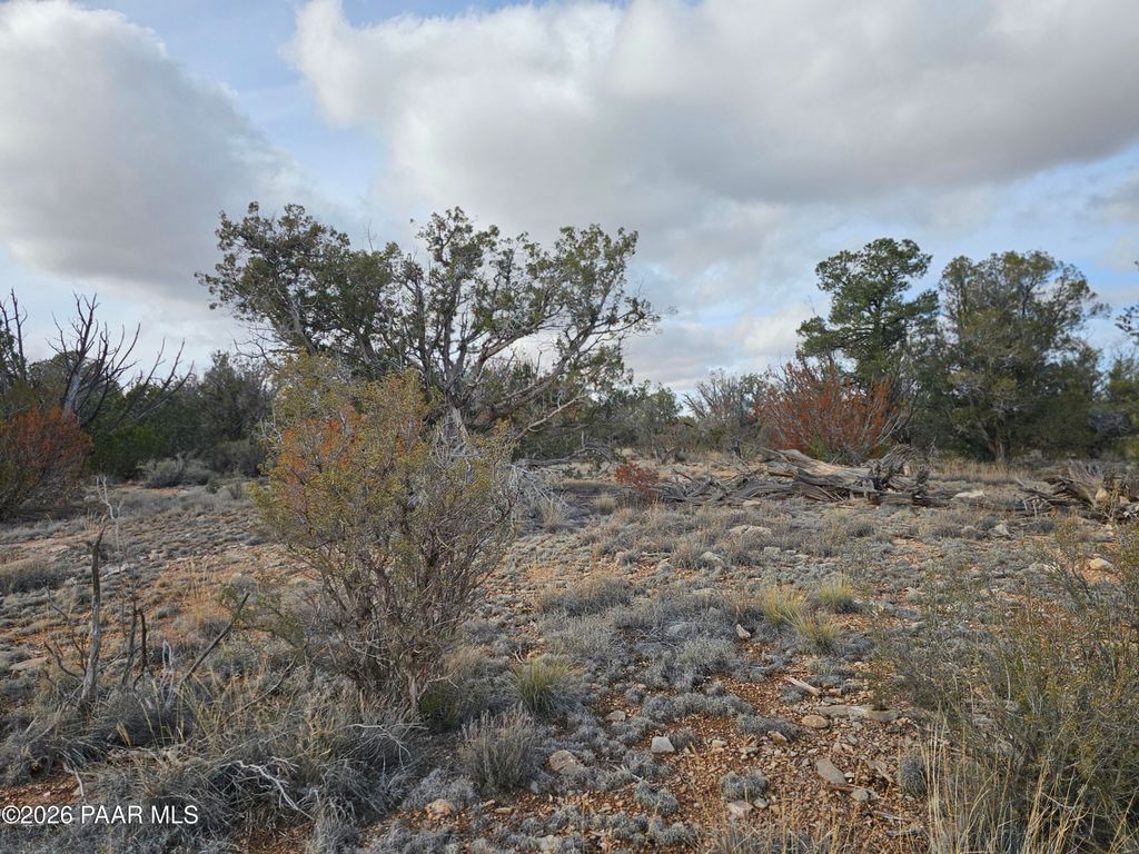 Photo of 56450 N Shadow Mountain Parkway, Seligman, AZ 86337 (MLS # 1078776)