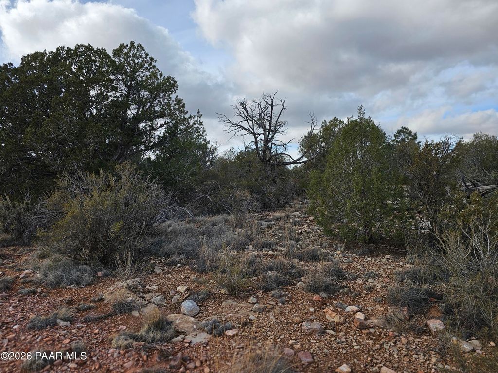 Photo of 56450 N Shadow Mountain Parkway, Seligman, AZ 86337 (MLS # 1078776)