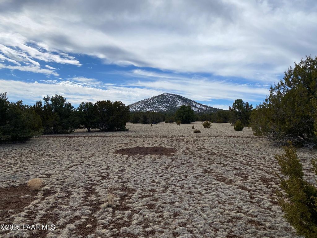 Photo of 7378 Tulip Trail, Williams, AZ 86046 (MLS # 1077413)