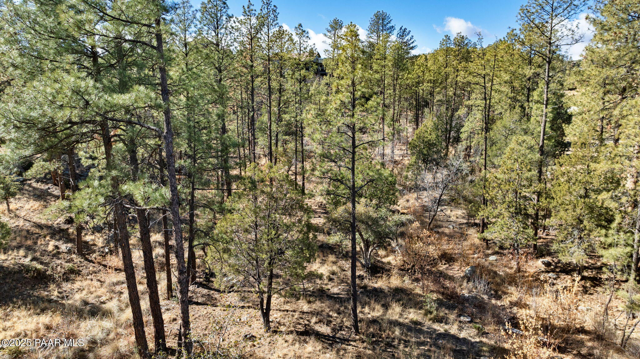 1820 Forest Creek Lane