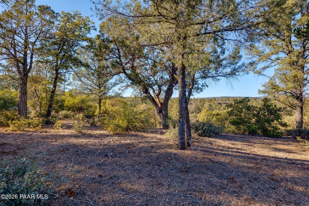 Photo of 203 S Rim Club Drive, Payson, AZ 85541 (MLS # 1083290)