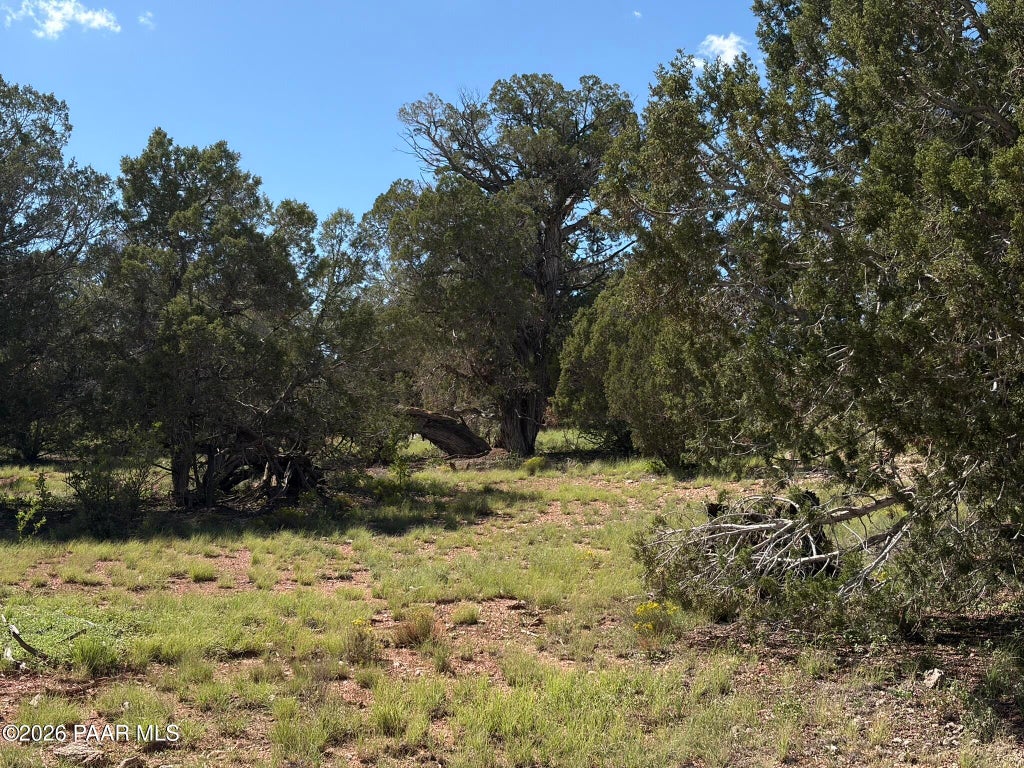 Photo of 57650 Hora Lane, Seligman, AZ 86337 (MLS # 1085224)