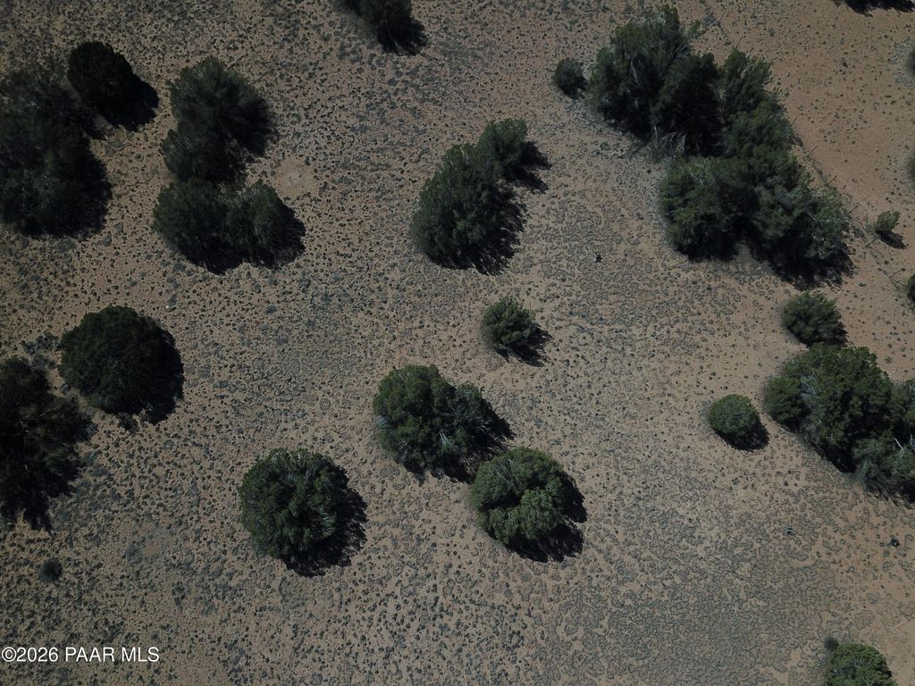 Photo of 25935 W Fort Rock Road, Seligman, AZ 86337 (MLS # 1080837)