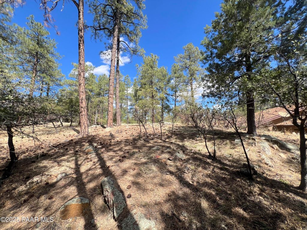 Photo of 1969 Pine Tree Drive, Prescott, AZ 86303 (MLS # 1079556)