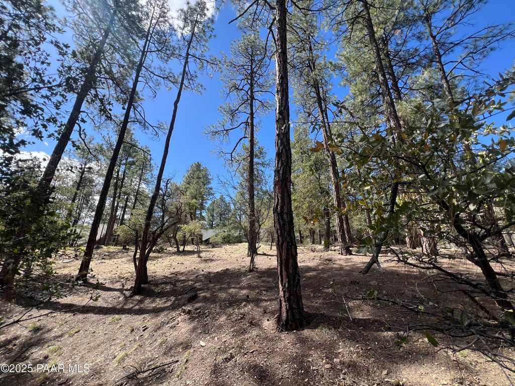 Photo of 1969 Pine Tree Drive, Prescott, AZ 86303 (MLS # 1079556)