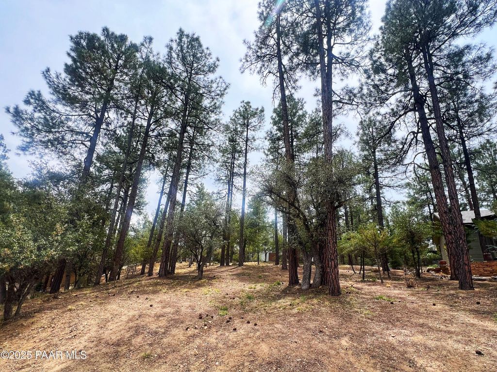 Photo of 1969 Pine Tree Drive, Prescott, AZ 86303 (MLS # 1079556)