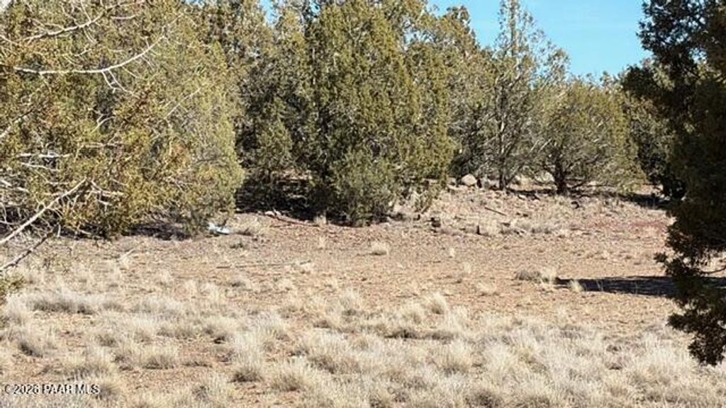 Photo of 3963 Gerry Lane, Williams, AZ 86046 (MLS # 1079963)